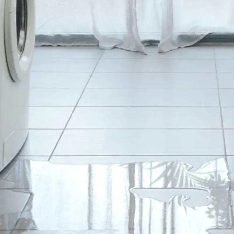 Appliance Leak Cleanup in El Dorado County, CA