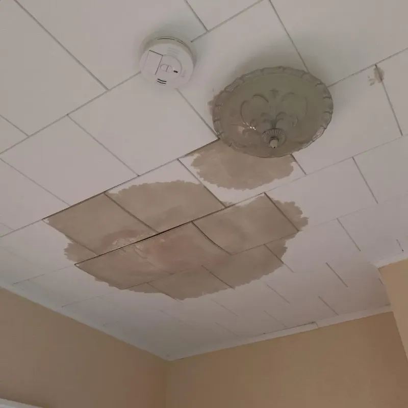 Ceiling Water Damage Repair in El Dorado County, CA