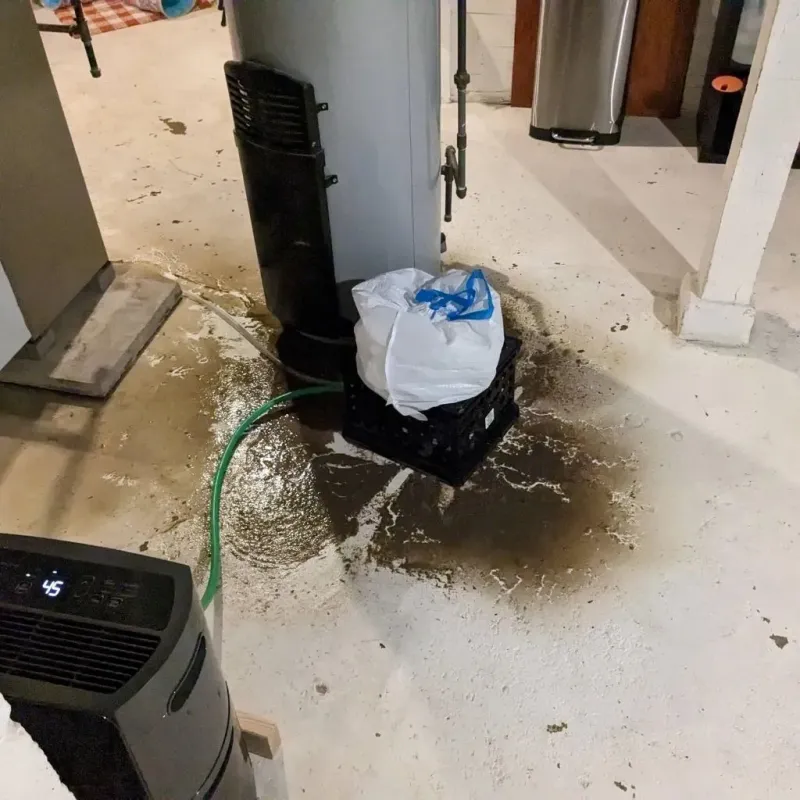 Sewage Backup Cleanup Service in El Dorado County, CA
